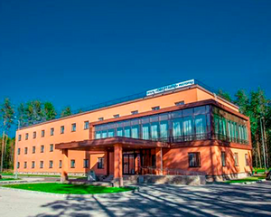 Проведение хоккейного турнира в Санкт-Петербурге